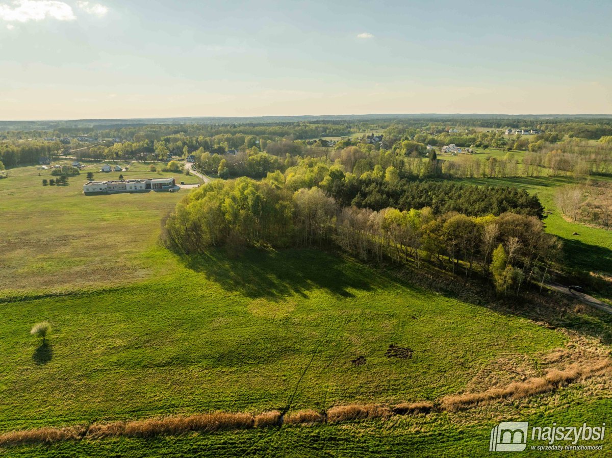 Grzepnica – Działka z wydanymi  WZ z potencjałem (4)