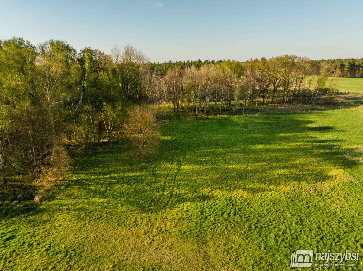 Grzepnica – Działka z wydanymi  WZ z potencjałem (5)