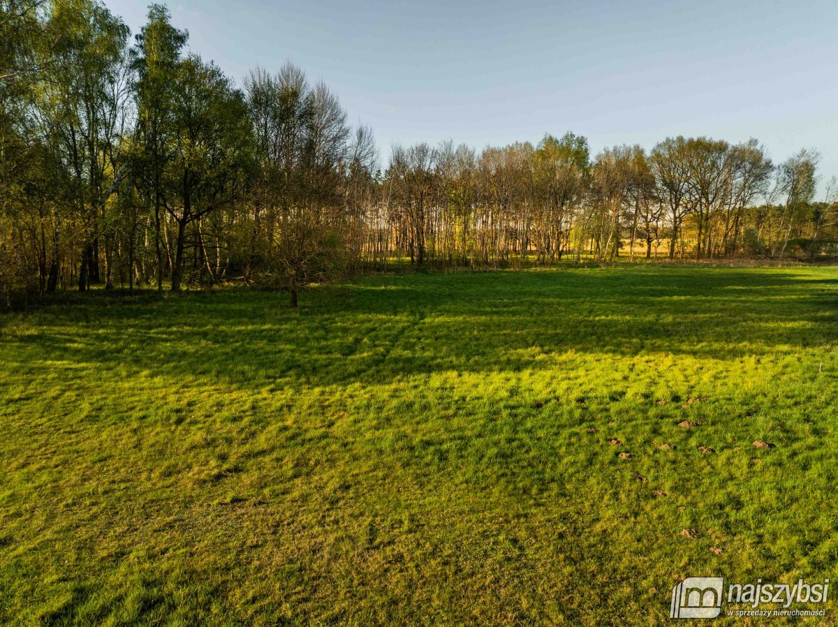 Grzepnica – Działka z wydanymi  WZ z potencjałem (6)