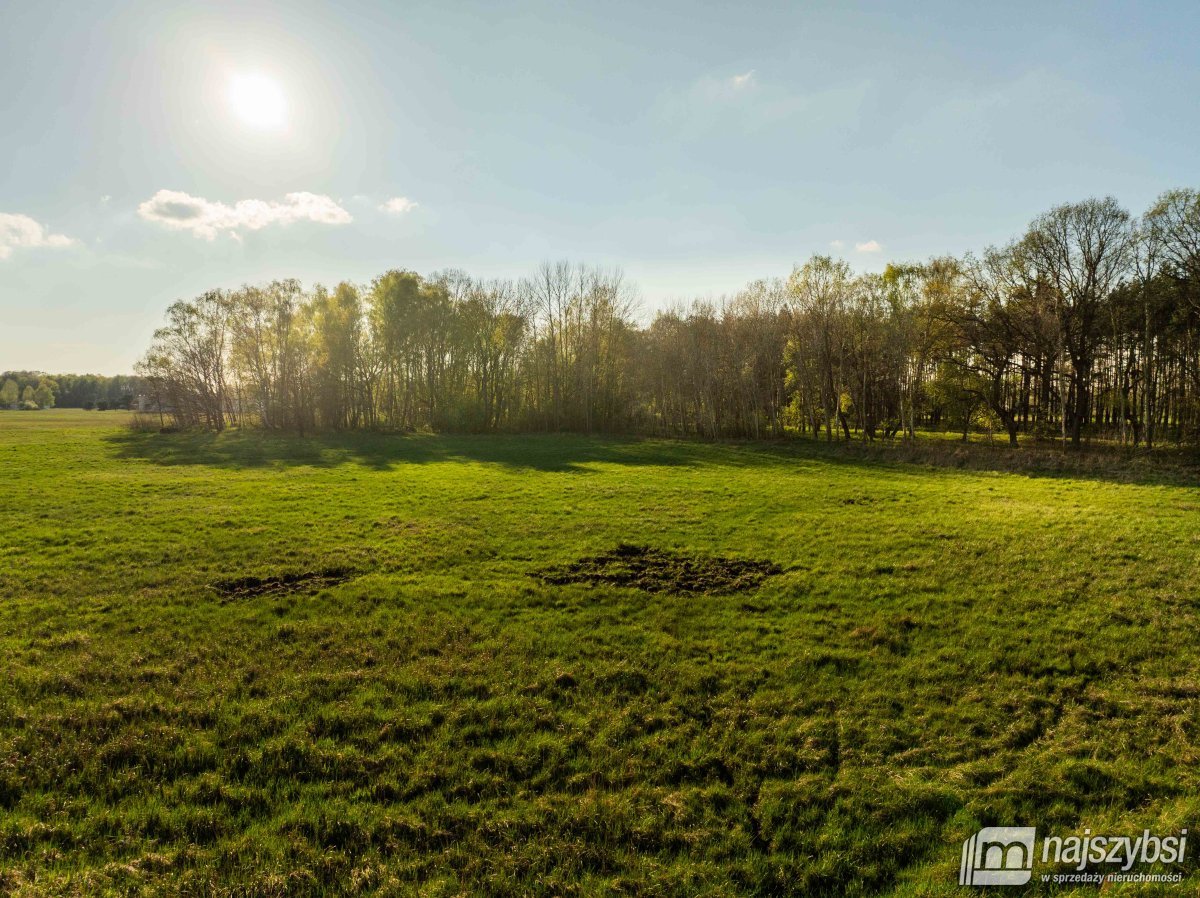 Grzepnica – Działka z wydanymi  WZ z potencjałem (7)