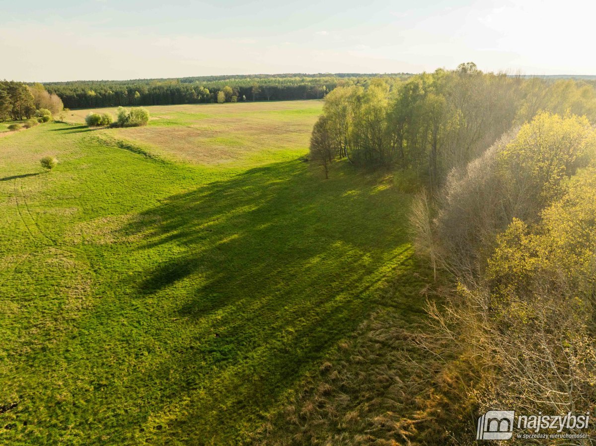 Grzepnica – Działka z wydanymi  WZ z potencjałem (8)