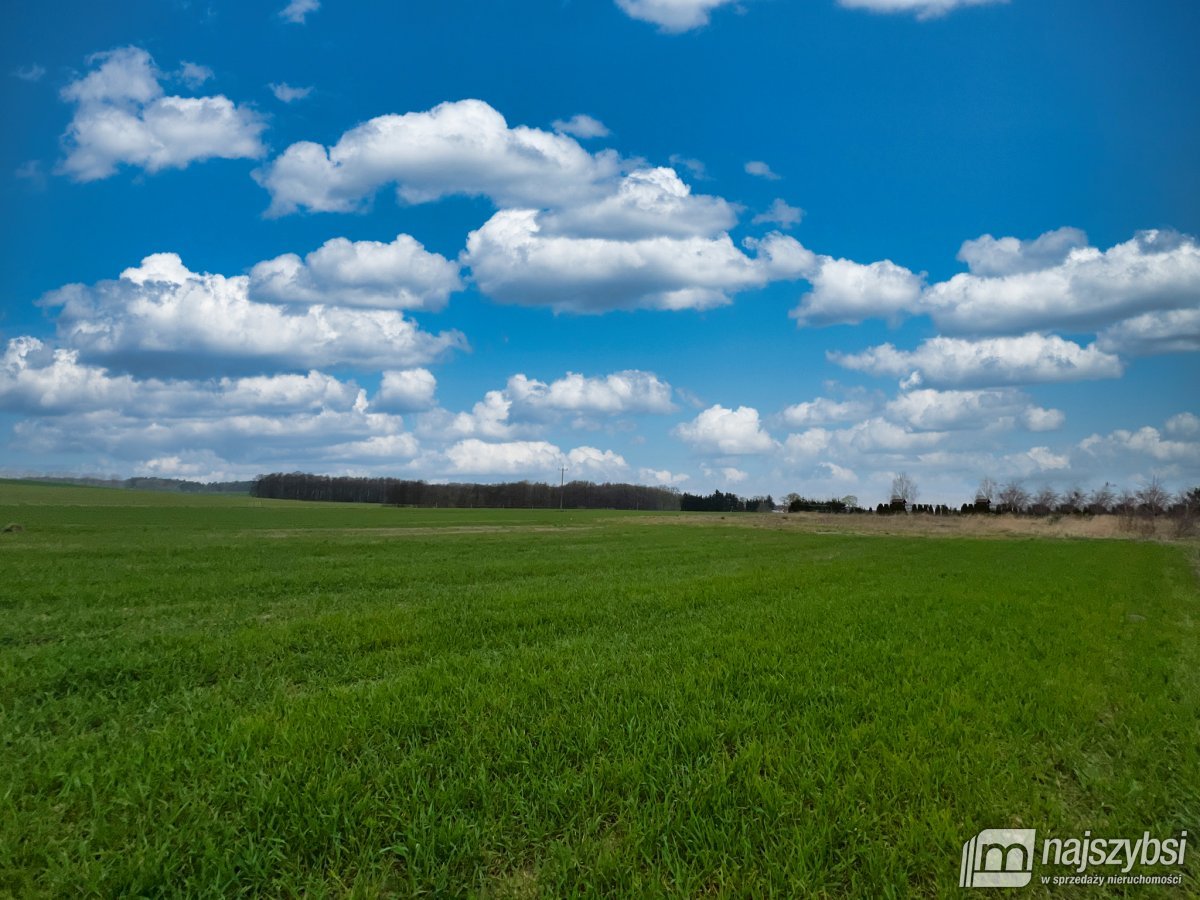Zaleszczyce - działka budowlana w pięknej okolicy! (3)