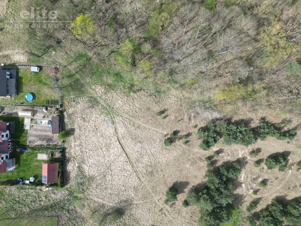 Buk działka na sprzedaż  3060m2 pod lasem (1)