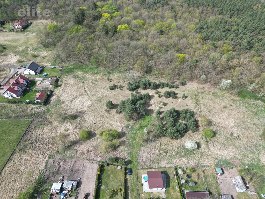 Buk działka na sprzedaż  3060m2 pod lasem (2)