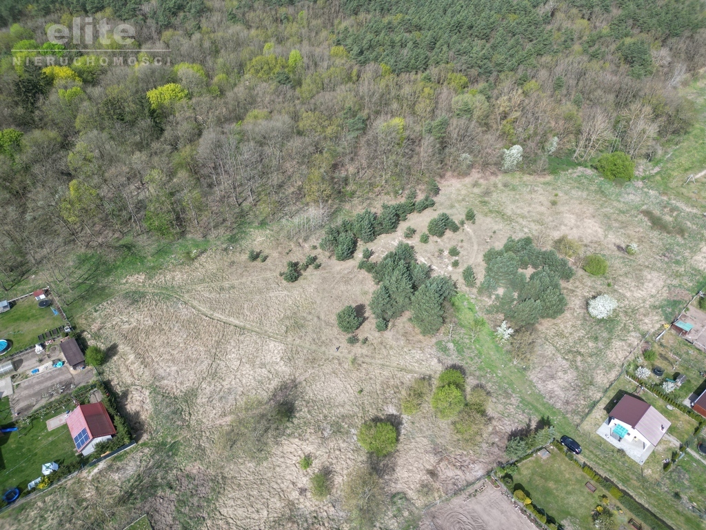 Buk działka na sprzedaż  3060m2 pod lasem (3)