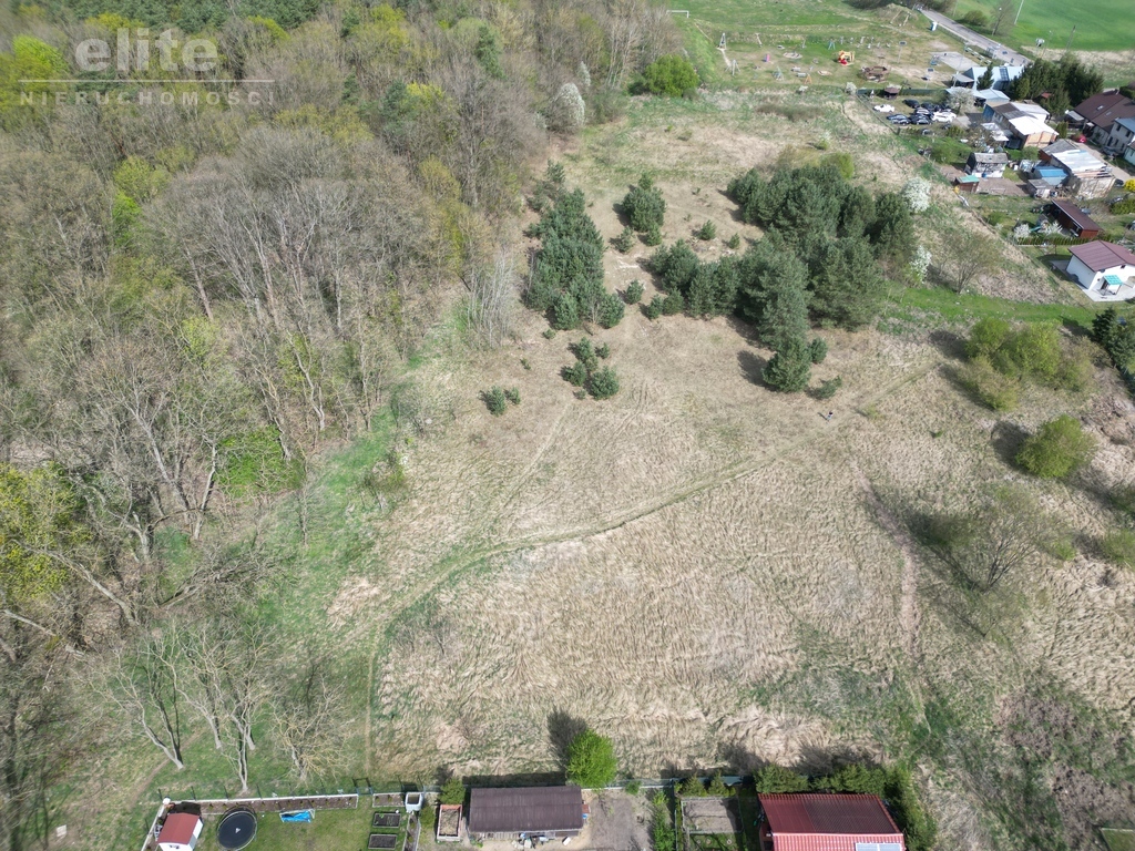 Buk działka na sprzedaż  3060m2 pod lasem (4)