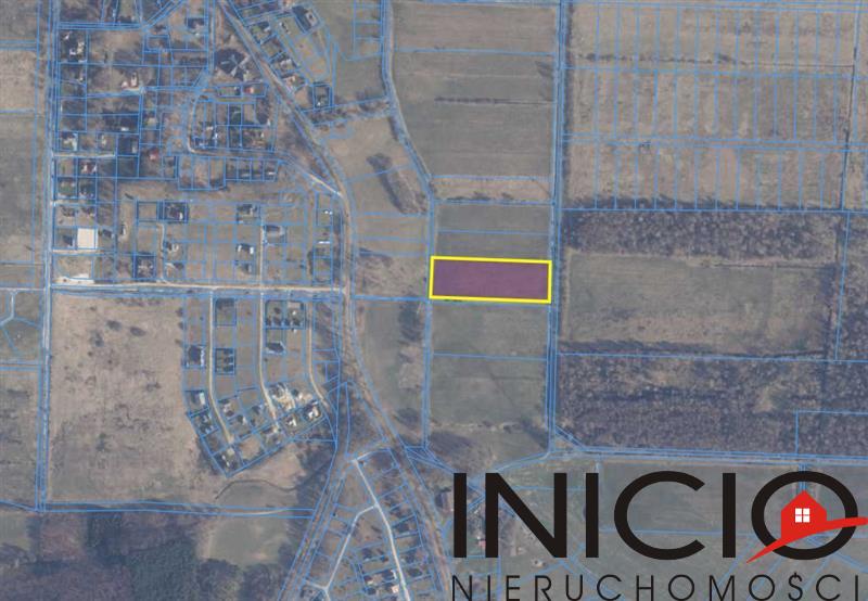 Działka - Dębina  (2)