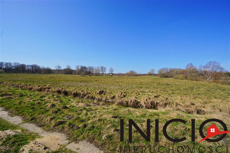 Działka - Dębina  (9)