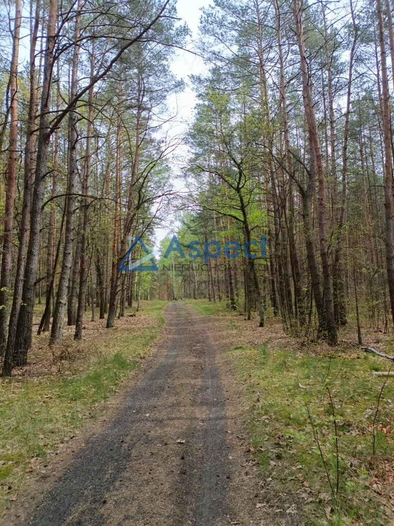 Duży dom do wynajęcia Kijewo - prawobrzeże (3)