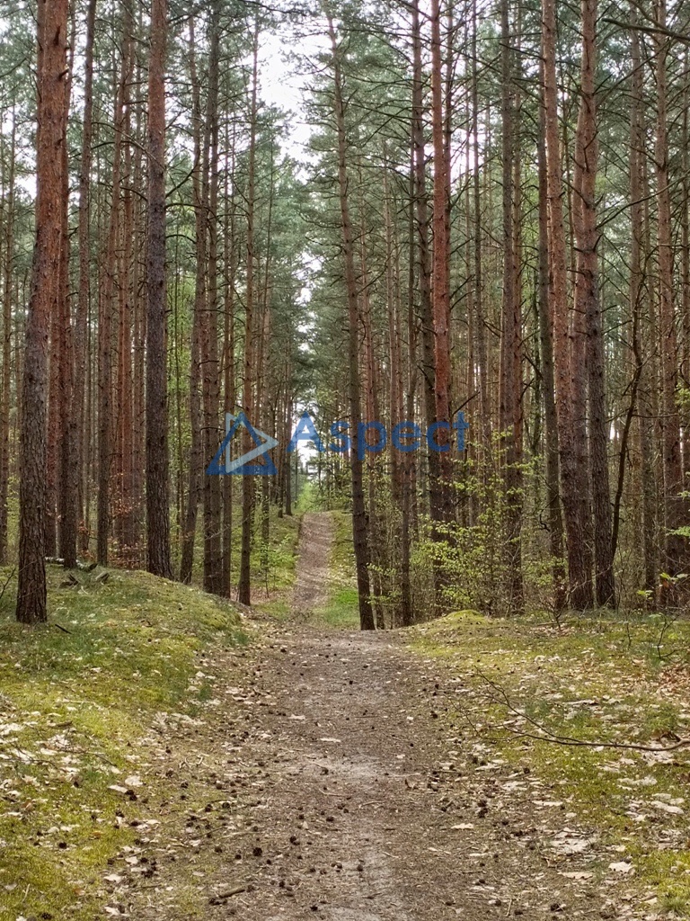 Duży dom do wynajęcia Kijewo - prawobrzeże (4)