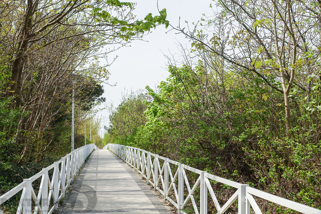 Apartament 2 pokojowy, balkon 6,6 m2, nad morzem. (1)