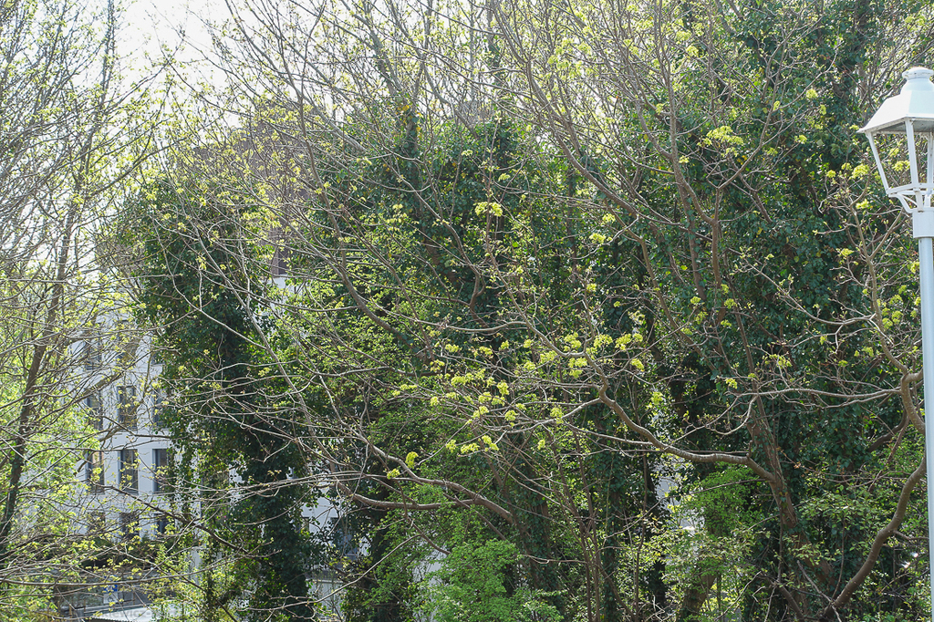 Apartament 3 pokojowy, balkon 9,3 m2, nad morzem. (5)