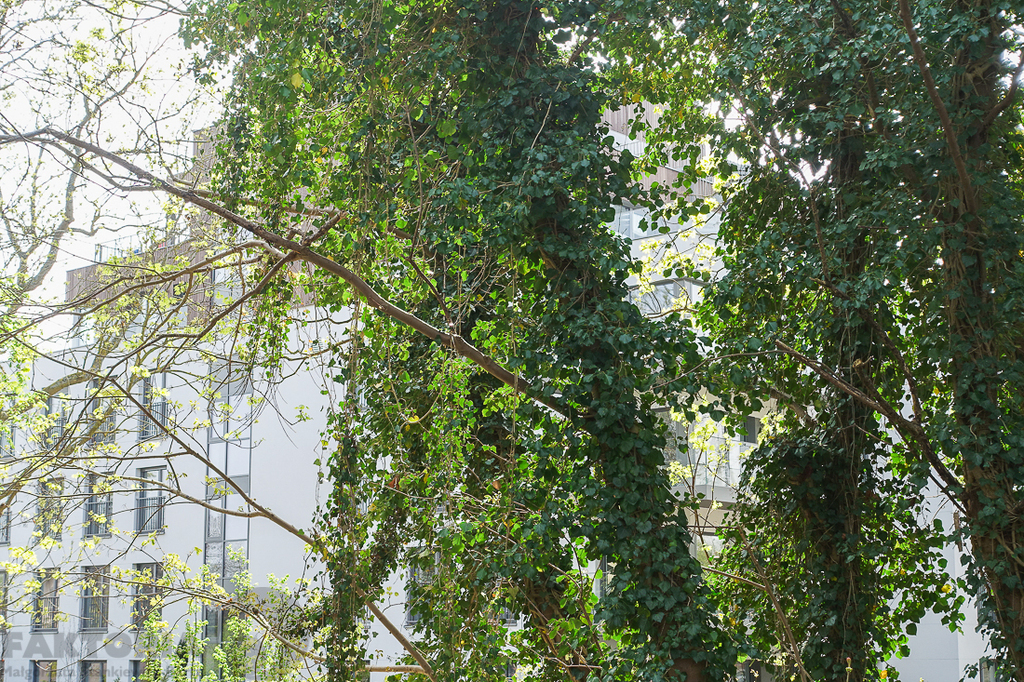 Apartament 3 pokojowy, balkon 9,3 m2, nad morzem. (6)