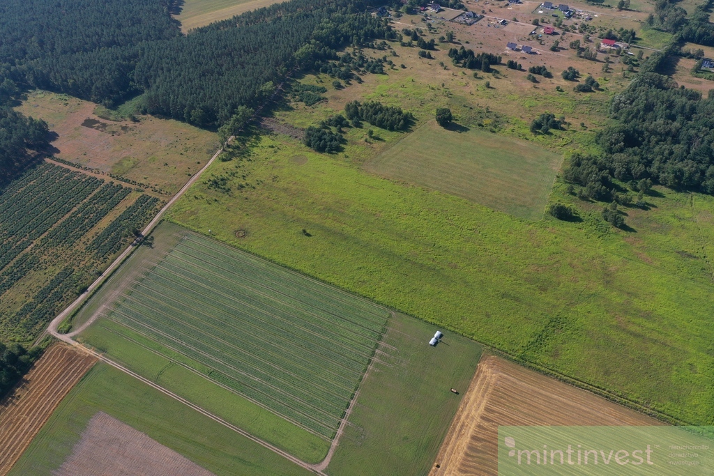Atrakcyjna działka pod lasem (3)