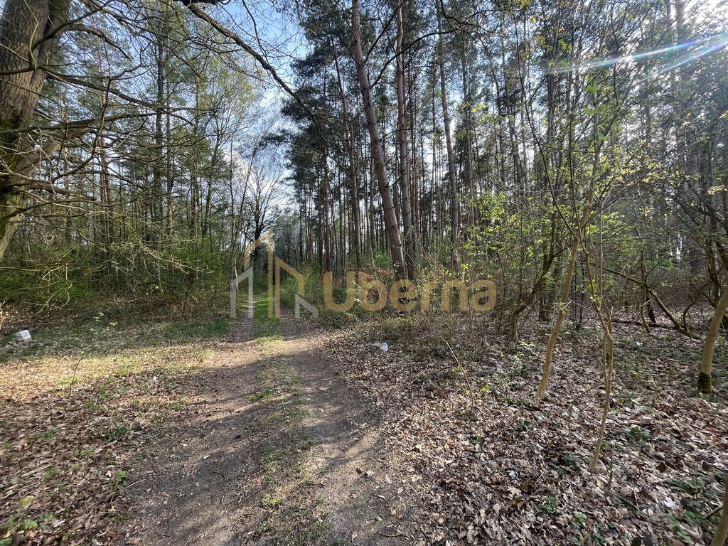 Działka budowlana Podańsko, Gm.Goleniów (10)