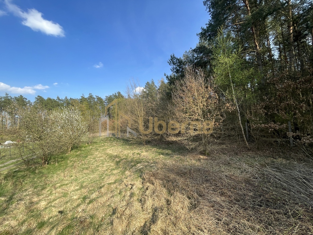 Działka budowlana Podańsko, Gm.Goleniów (8)