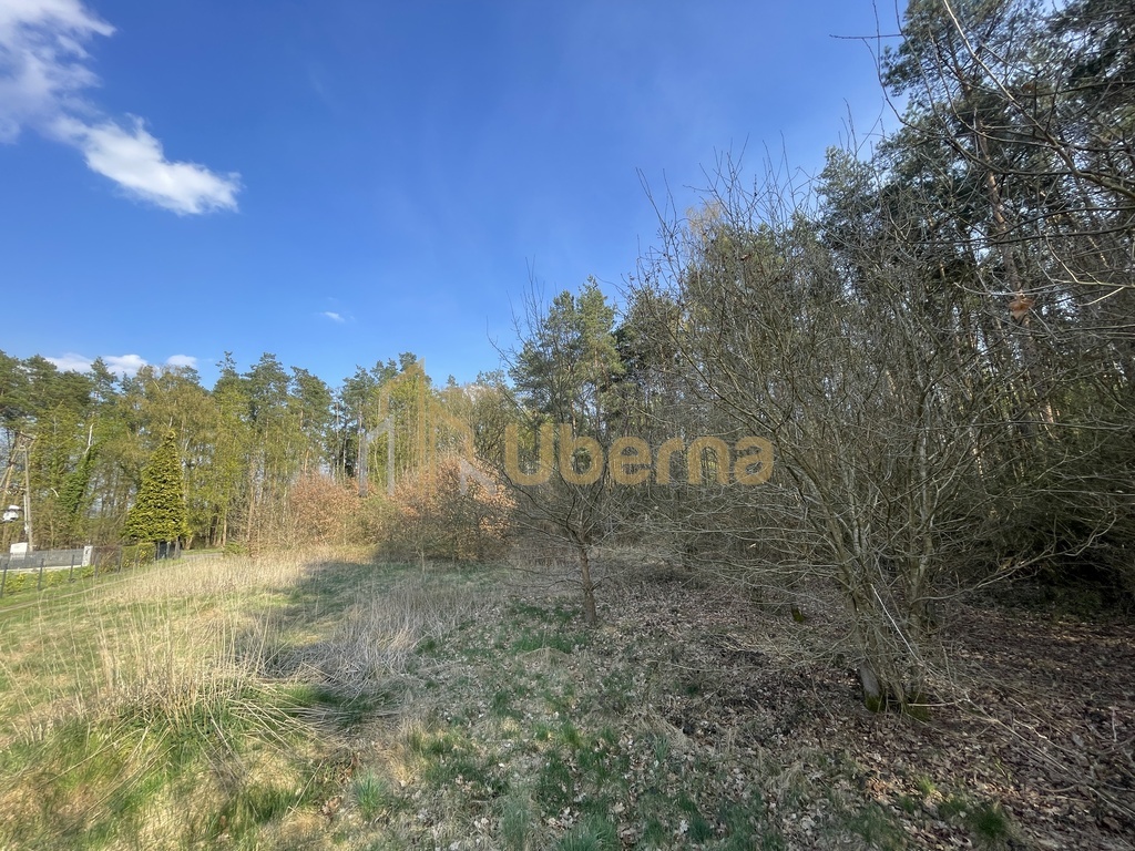 Działka budowlana Podańsko, Gm.Goleniów (14)