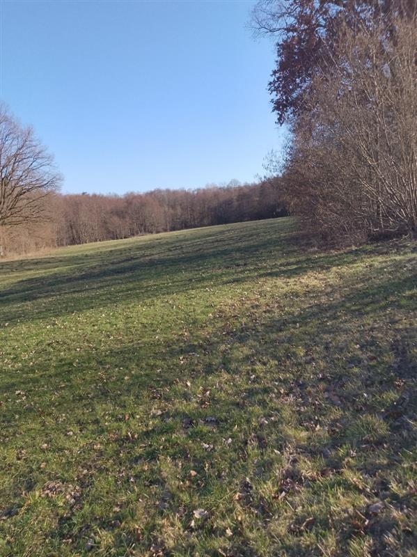 Działka rolna - Kraśnik Koszaliński  (2)