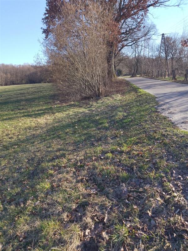 Działka rolna - Kraśnik Koszaliński  (3)