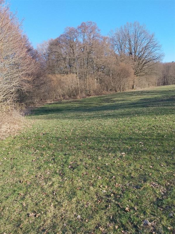 Działka rolna - Kraśnik Koszaliński  (4)