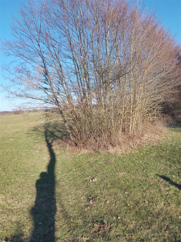 Działka rolna - Kraśnik Koszaliński  (5)