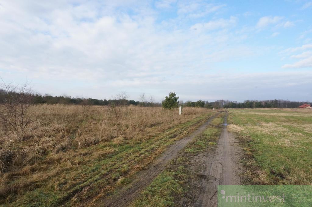 Budowlana, 1,505 m2, Białuń  (7)