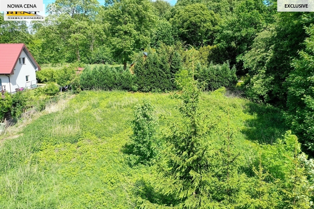 Działka budowlana nad jeziorem Parlino,Stargard (15)