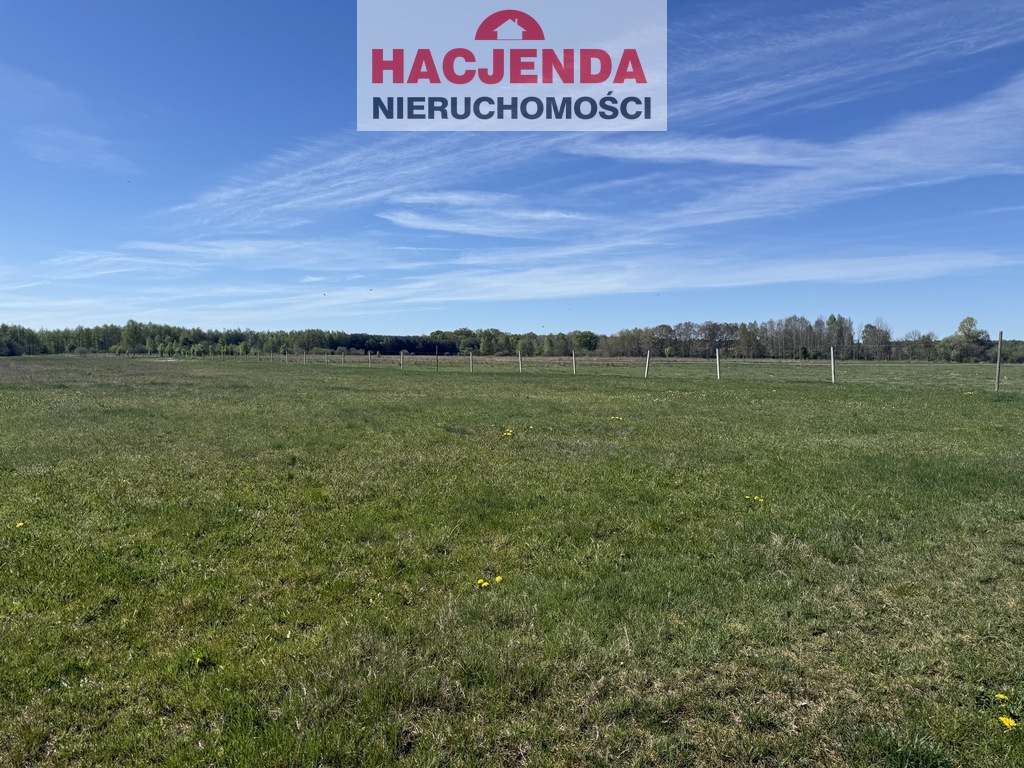 Działka, 9,800 m2, Wieńkowo  (2)