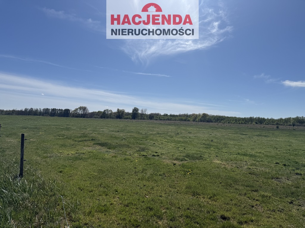 Działka, 9,800 m2, Wieńkowo  (3)