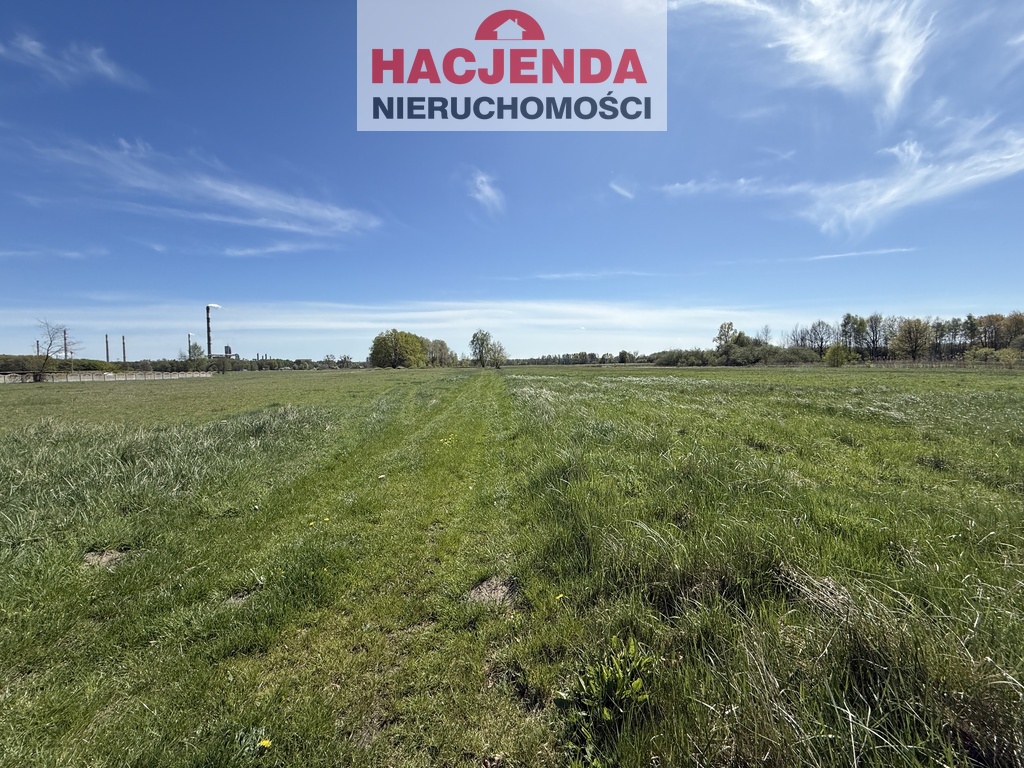 Działka, 9,800 m2, Wieńkowo  (4)