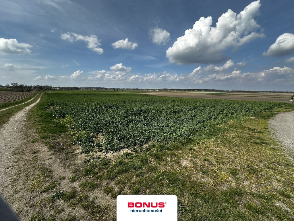 Urokliwe działki,  z Warunkami Zabudowy (2)