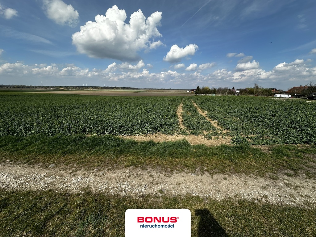 Urokliwe działki,  z Warunkami Zabudowy (5)