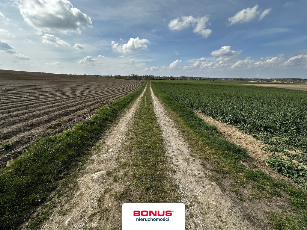 Urokliwe działki,  z Warunkami Zabudowy (3)