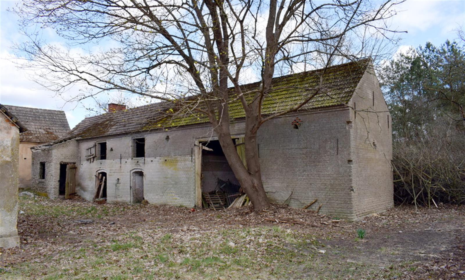 Działka - Poźrzadło Wielkie  (12)