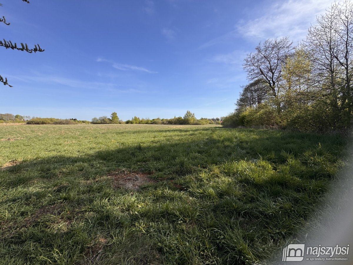 Stary Borek-działka rolna 14633 m (1)