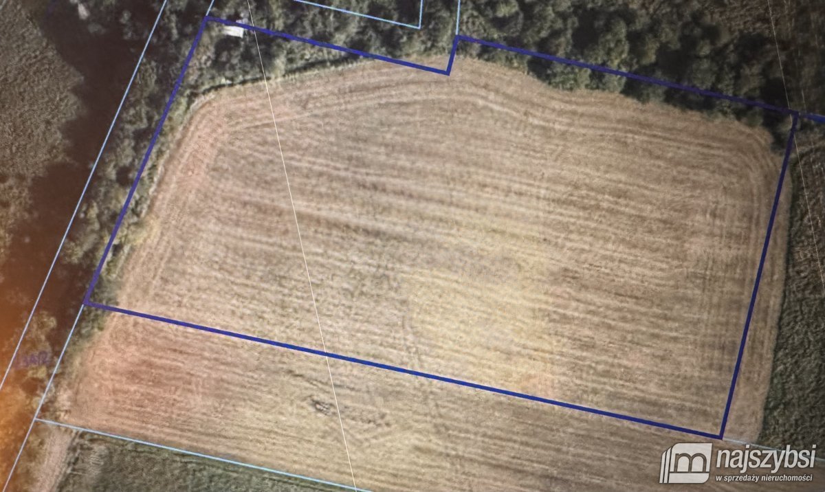 Stary Borek-działka rolna 14633 m (3)