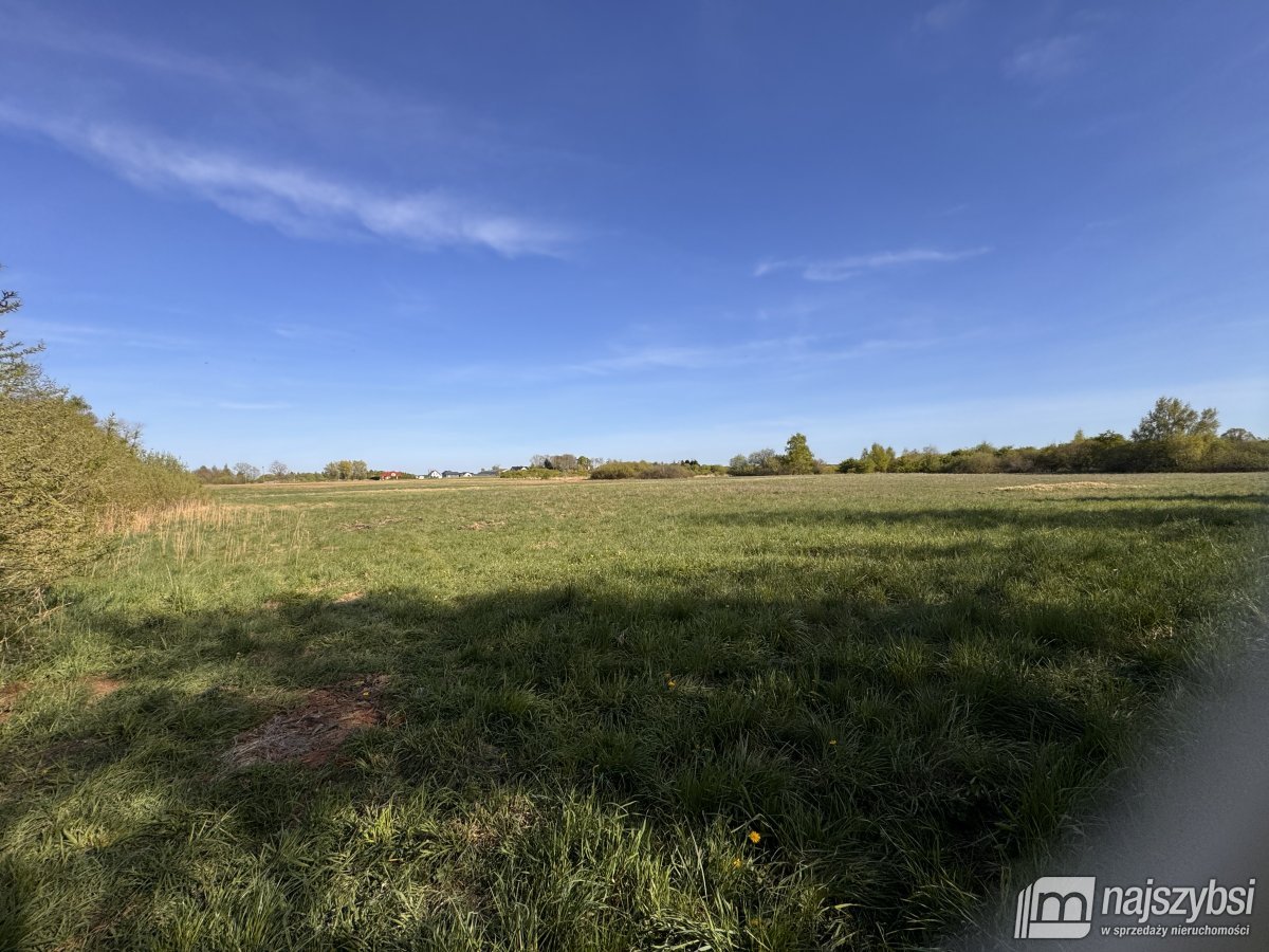 Stary Borek-działka rolna 14633 m (4)