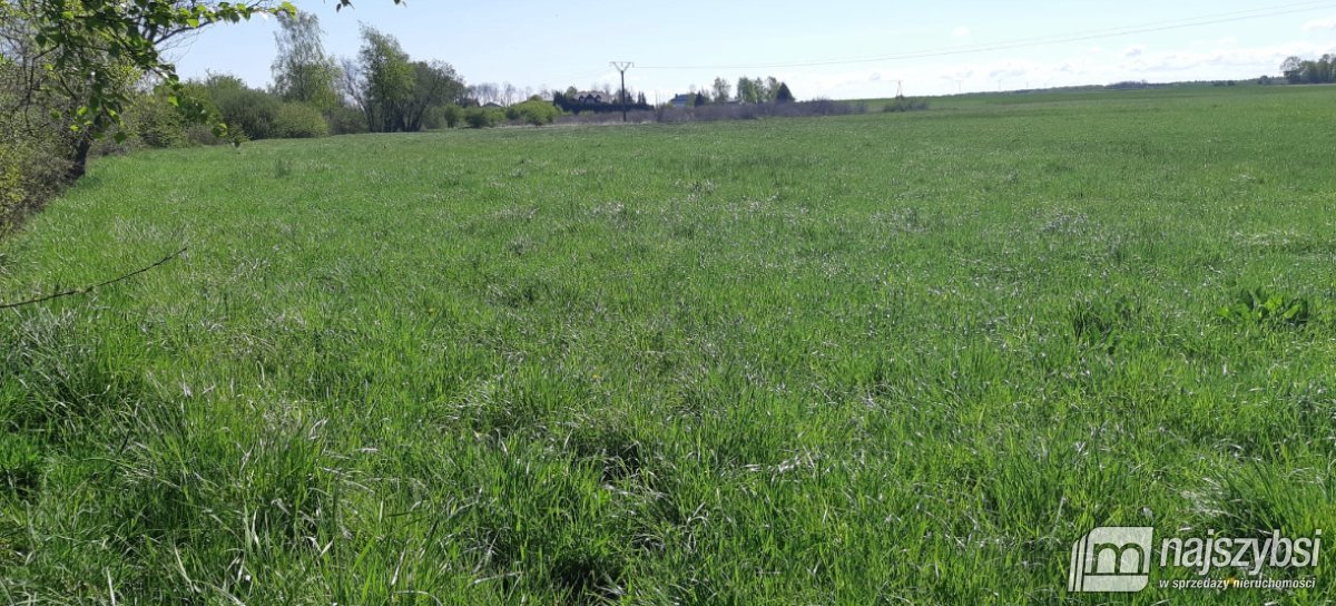Stary Borek-działka rolna 14633 m (5)