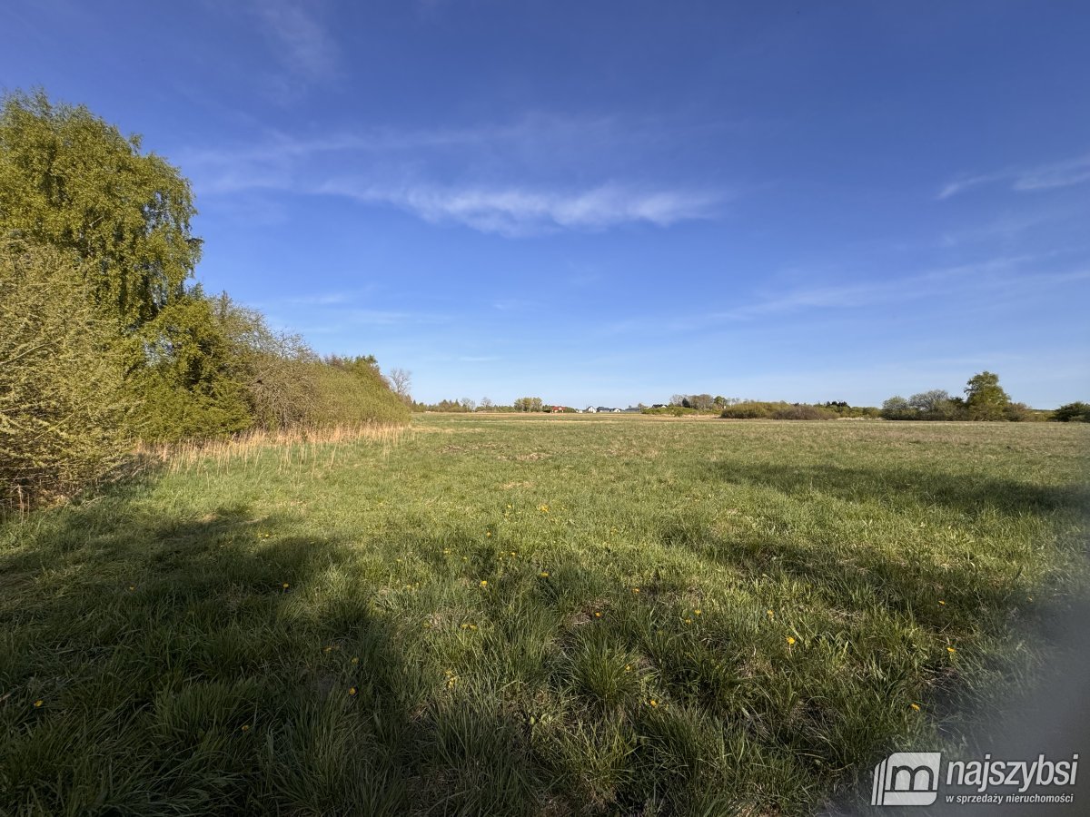 Stary Borek-działka rolna 14633 m (6)