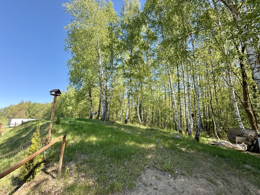 Urokliwa działka nad jeziorem Ińsko (10)