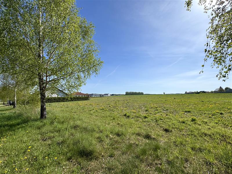 Działka budowlana - Niekłonice Niekłonice (2)