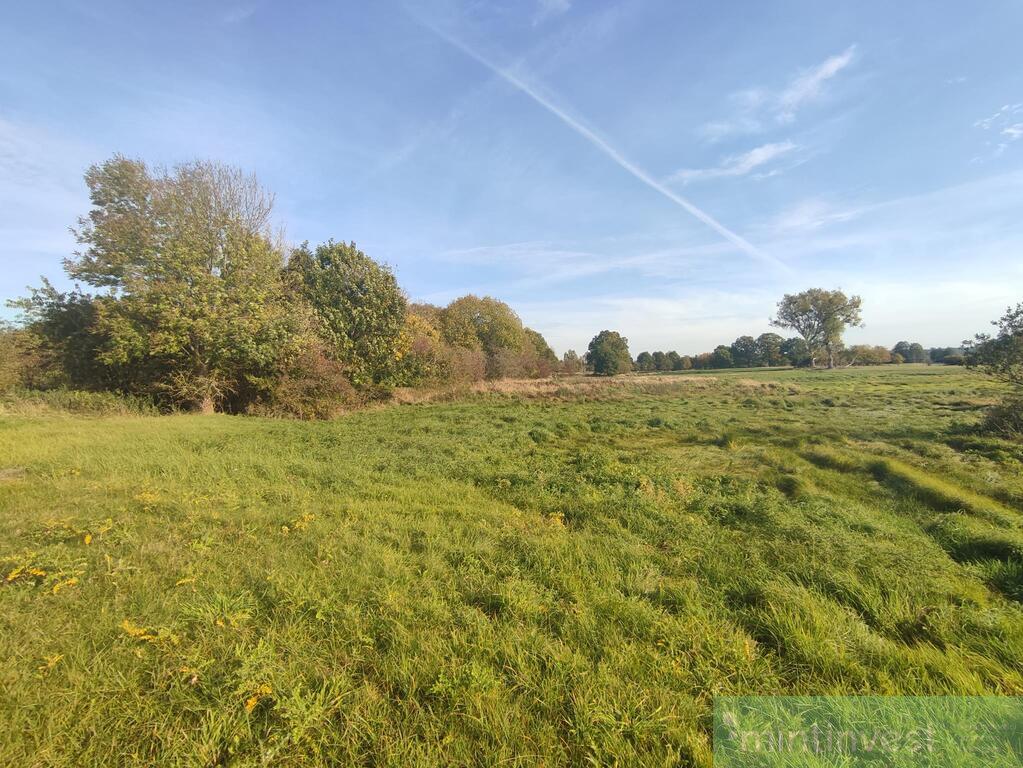 Działka w malowniczej okolicy (2)