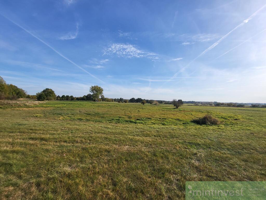 Działka w malowniczej okolicy (12)