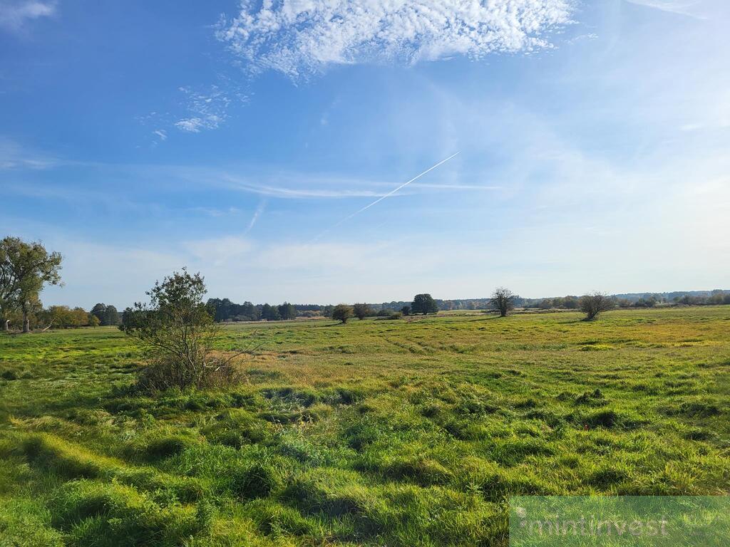 Działka w malowniczej okolicy (8)