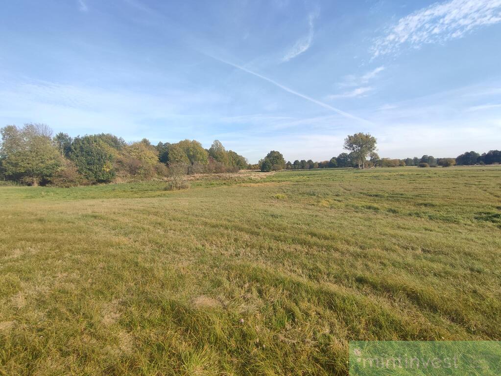 Działka w malowniczej okolicy (10)