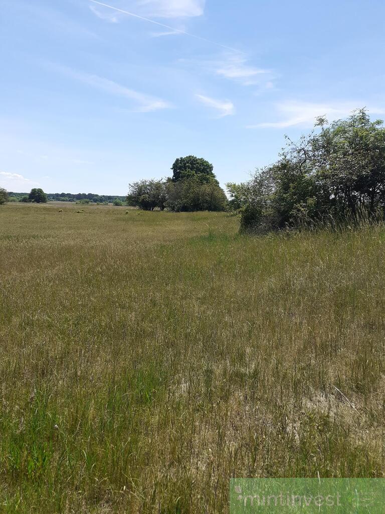 Działka w malowniczej okolicy (9)