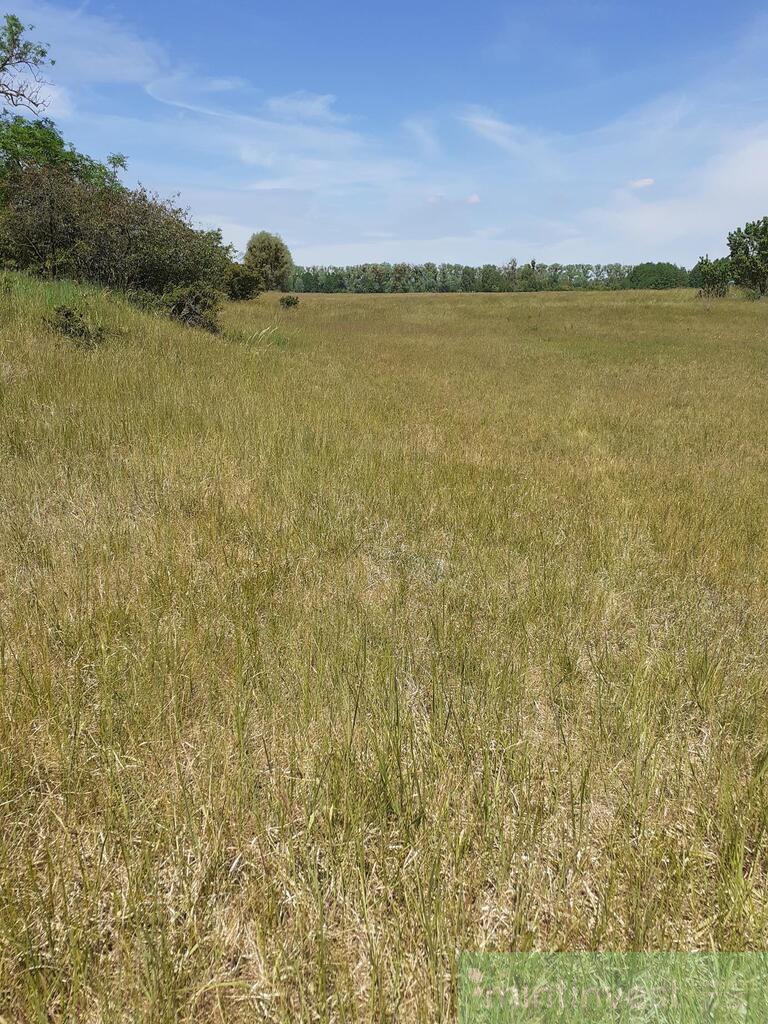 Działka w malowniczej okolicy (13)
