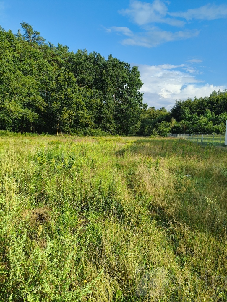 Tanowo – 2440 m2 działka uzbrojona przy lesie (10)