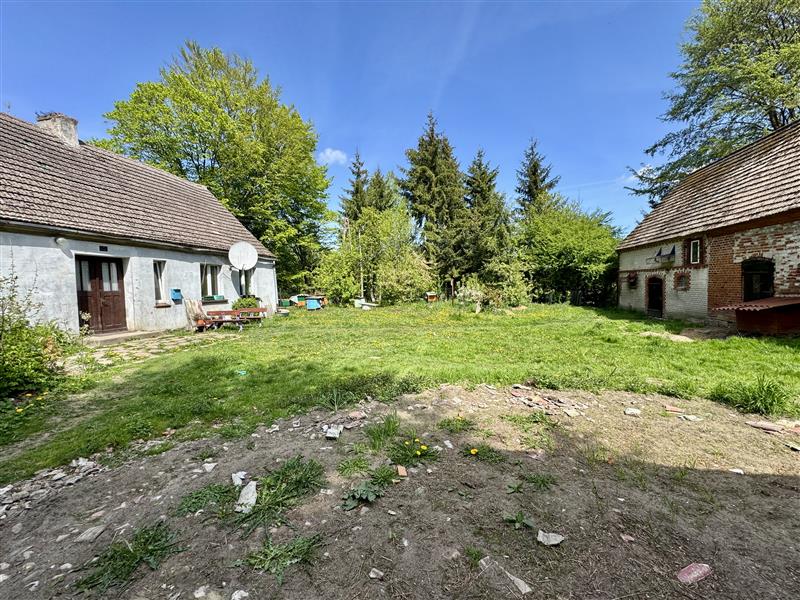 Urokliwe siedlisko na sprzedaż - Knyki, Barwice (4)