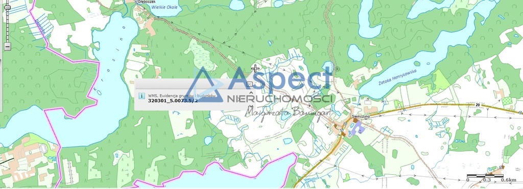 Rekreacyjna, 20,000 m2, Siemczyno  (5)